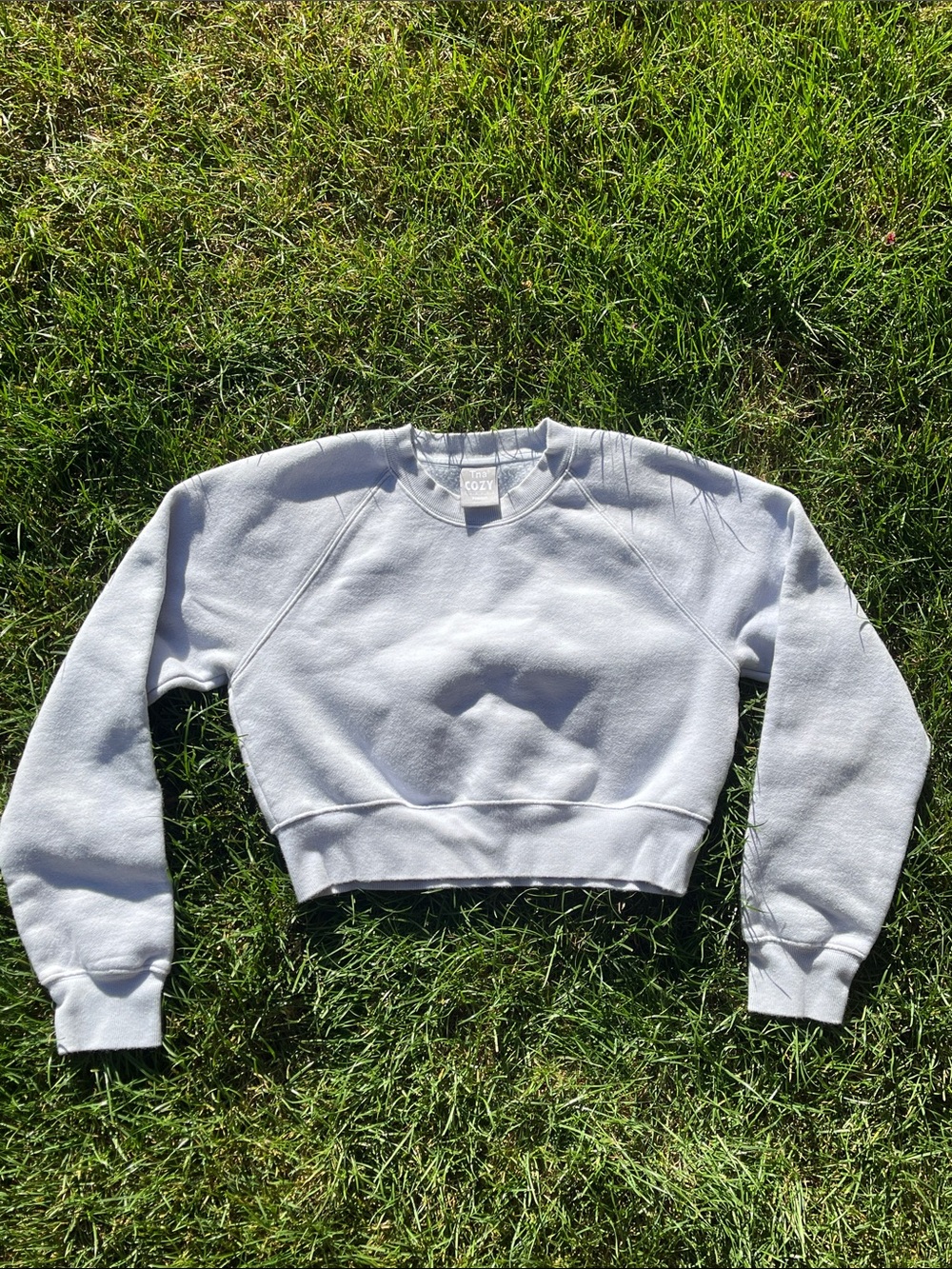 Aritzia TNA Cozy Fleece Perfect Fit Cropped Sweatshirt